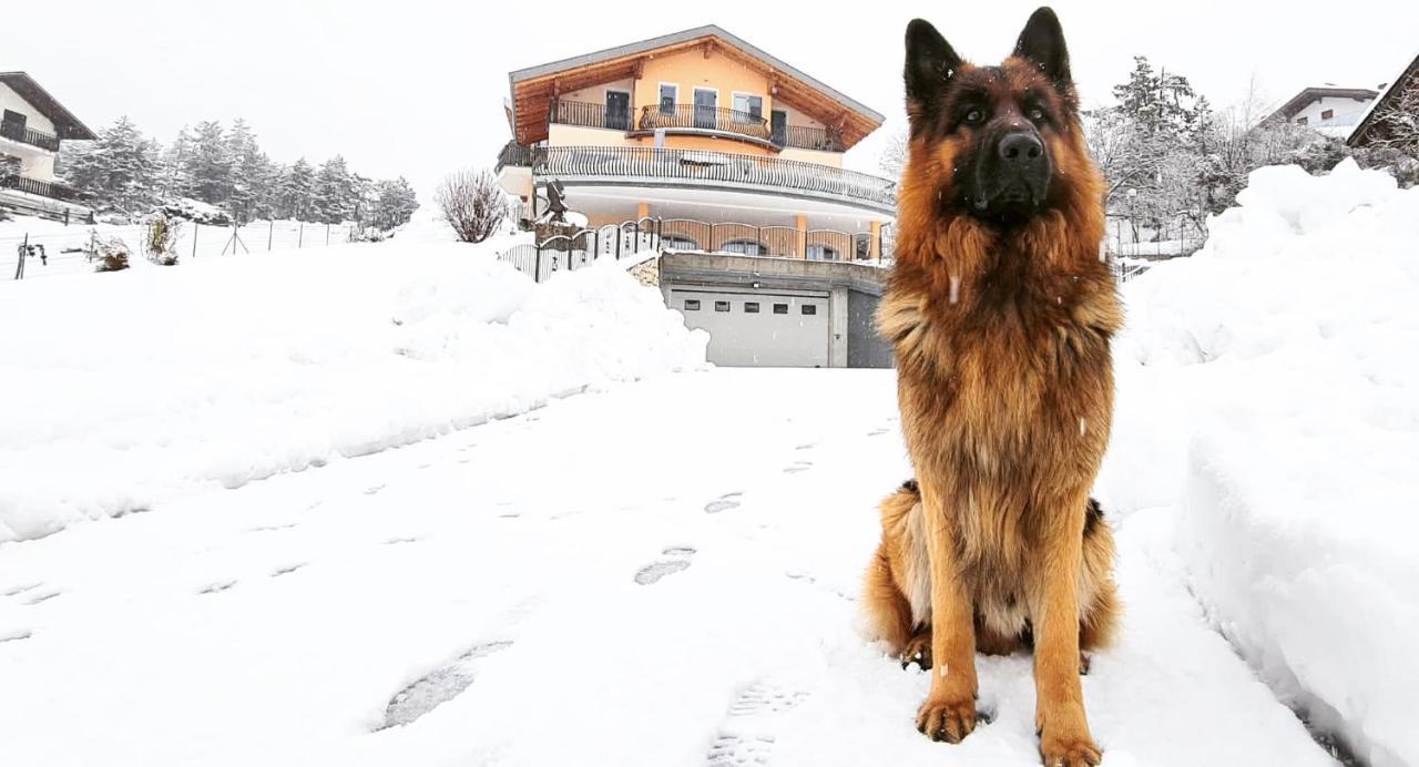 Affittacamere Dolce Sogno Coredo Kültér fotó