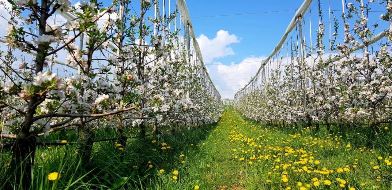 Affittacamere Dolce Sogno Coredo Kültér fotó