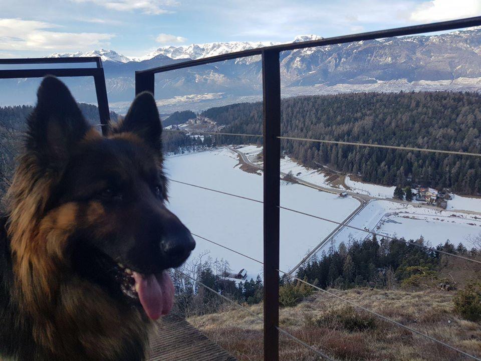 Affittacamere Dolce Sogno Coredo Kültér fotó