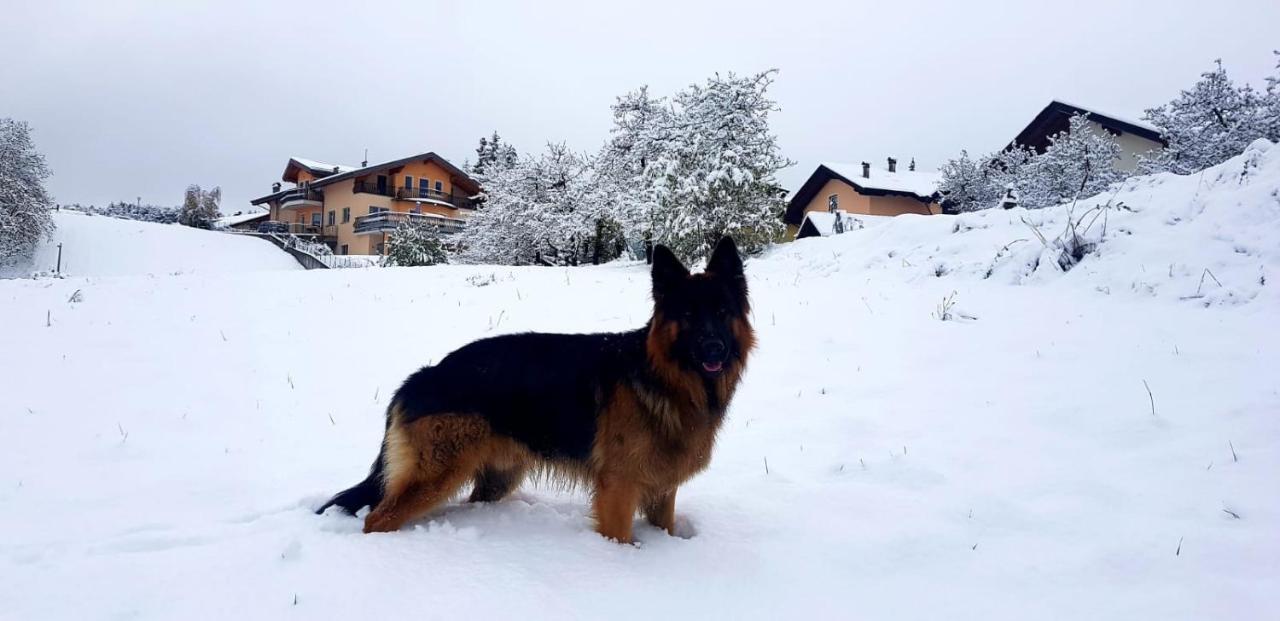Affittacamere Dolce Sogno Coredo Kültér fotó